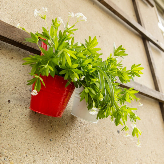 Blumentopf 2er Set