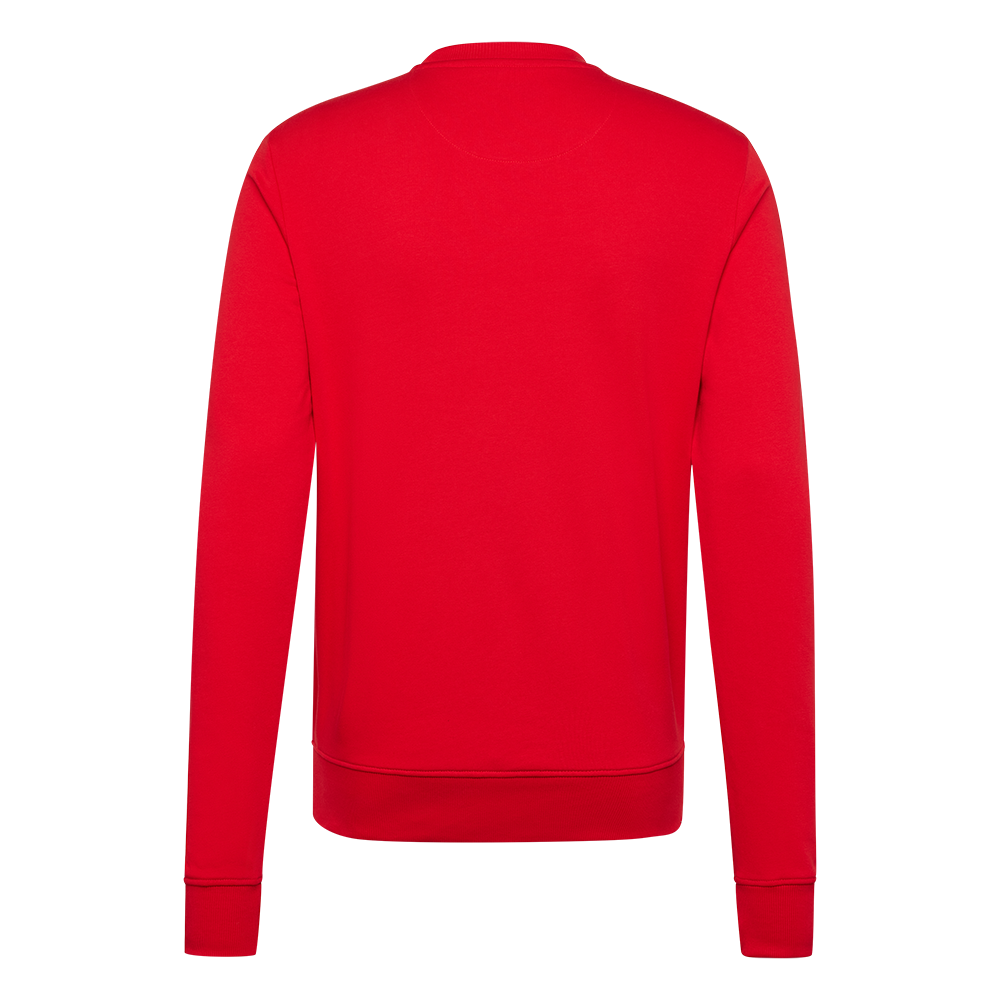 Pullover Logo - rot