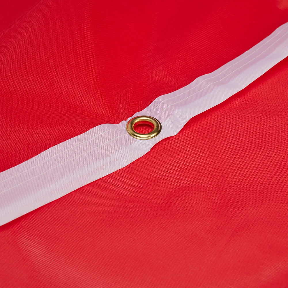 Hissfahne Logo rot - 250 x 150