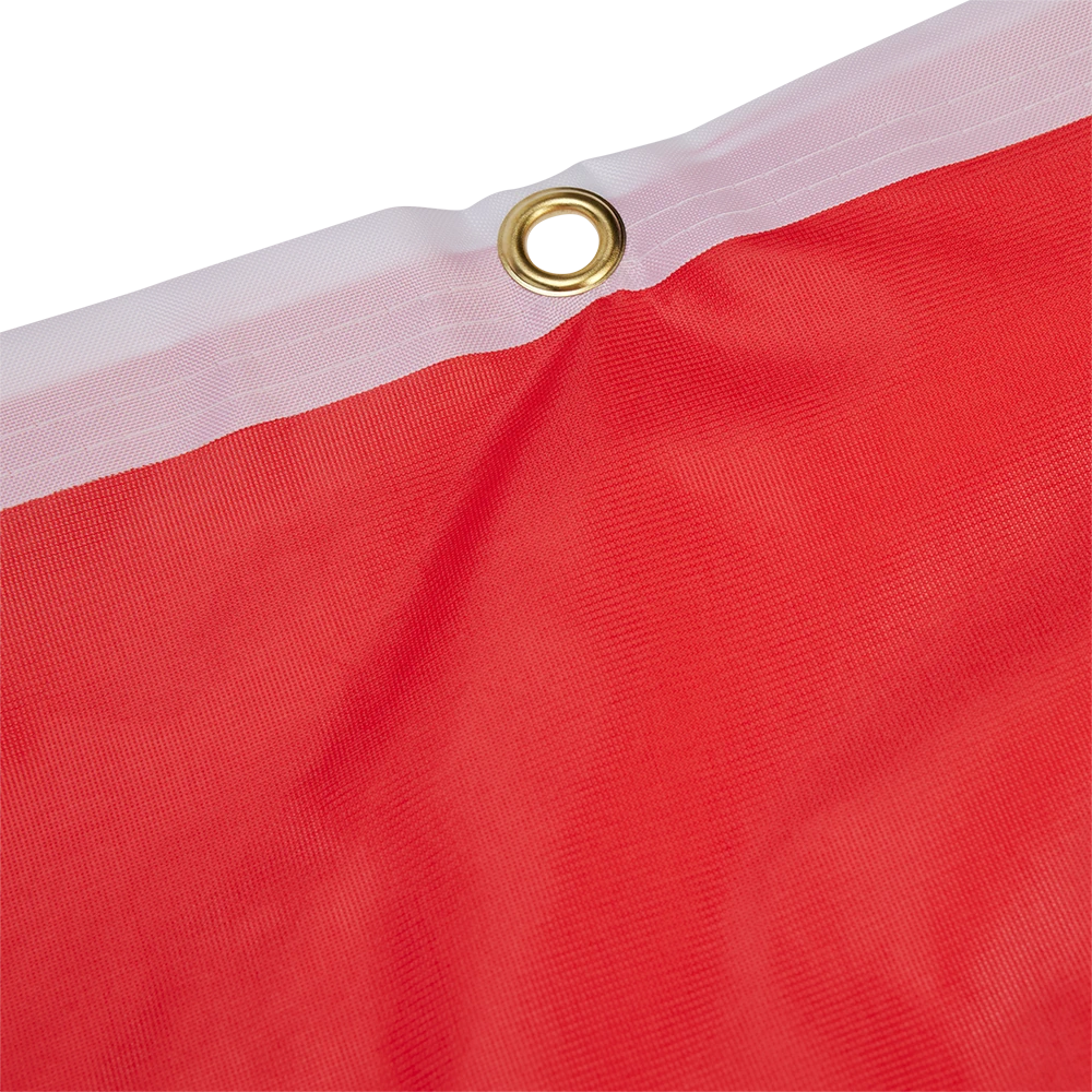 Hissfahne Logo rot - 250 x 150