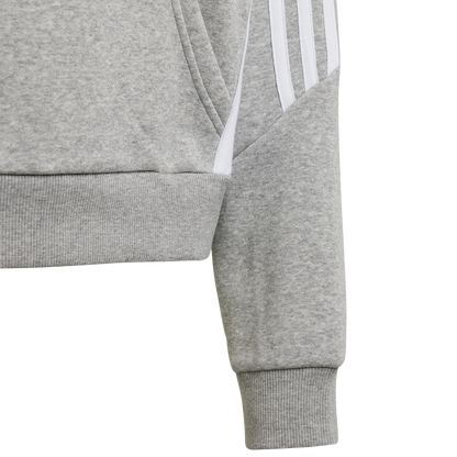 adidas Frauen Hoodie - grau 24/25
