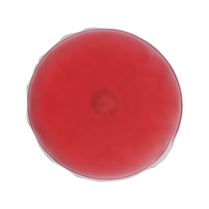 Handwärmer  - rot